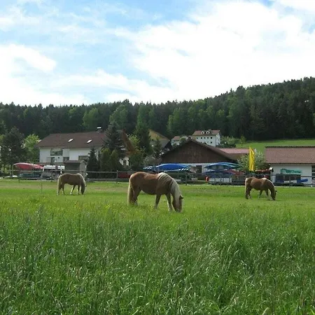 Sofia At The Horse Farm *