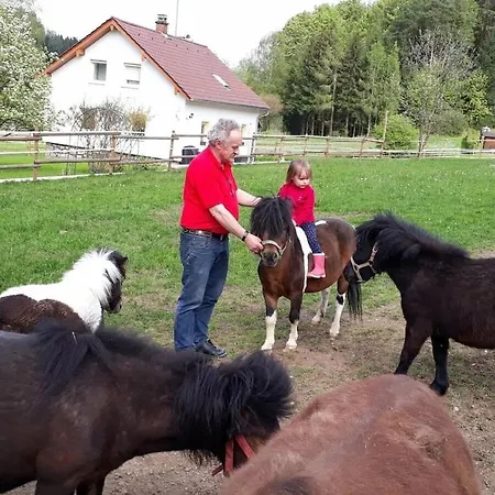 Sofia At The Horse Farm
