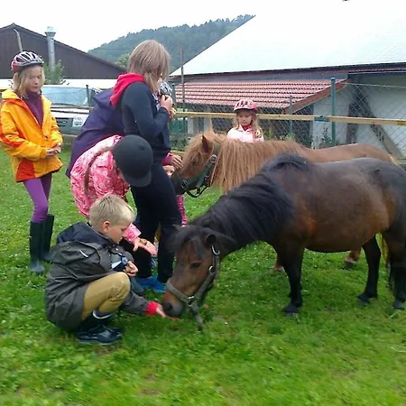 Sofia At The Horse Farm Дом отдыха *