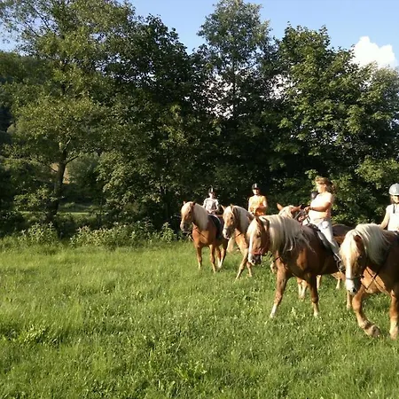Sofia At The Horse Farm Дом отдыха