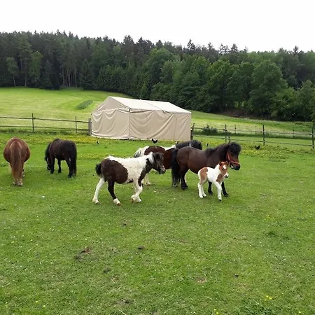 Sofia At The Horse Farm *