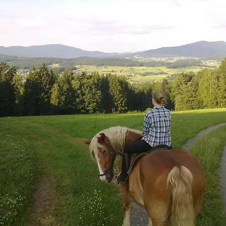 Sofia At The Horse Farm